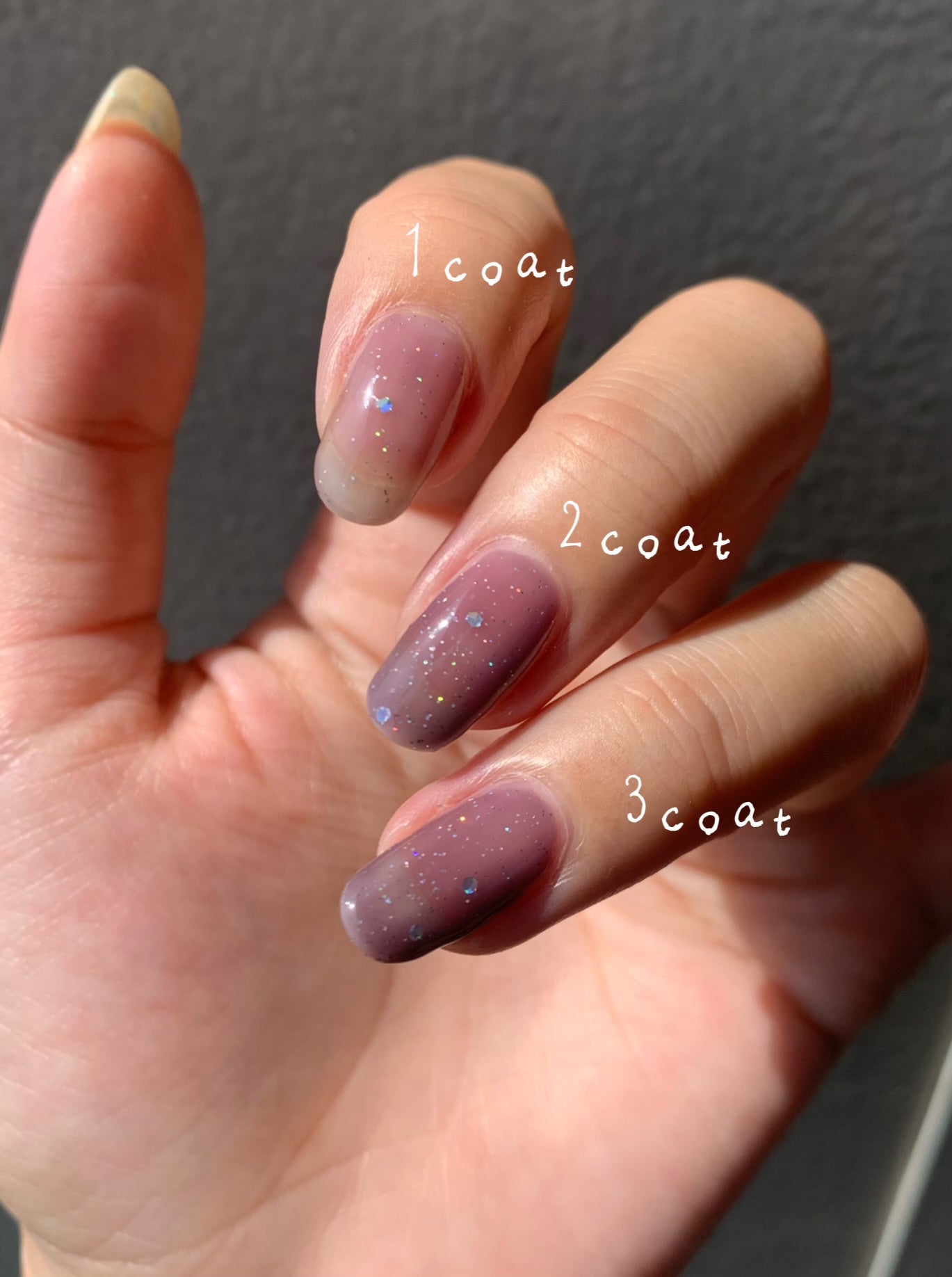 Sweetener(甘味料)