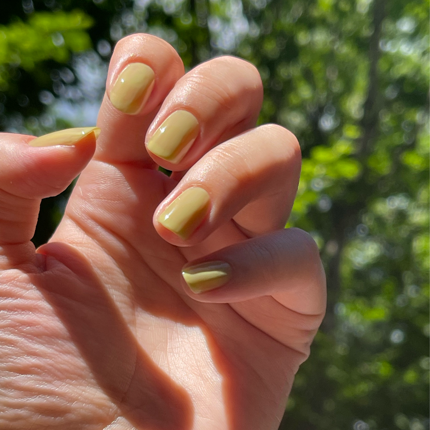 【在庫残りわずか】Joy(ジョイ)